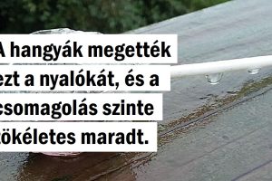 15 szokásos nap, amelyet Anyatermészet egy kis ajándékkal lepett meg