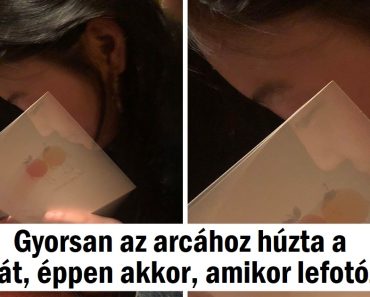 15 alkalom, amikor az emberek egy hétköznapi fotót készítettek, ami igazi mesterművé változott