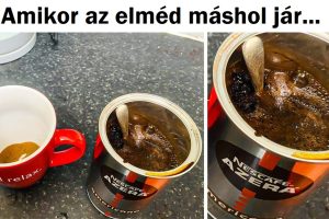 15 alkalom, amikor a „Legjobb pillanat” fotók nevetéssel töltötték meg az emberek napját
