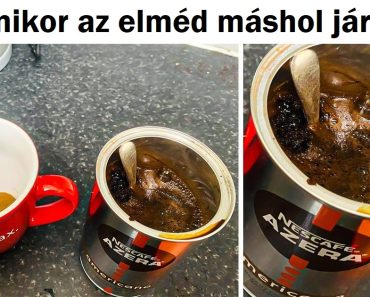 15 alkalom, amikor a „Legjobb pillanat” fotók nevetéssel töltötték meg az emberek napját