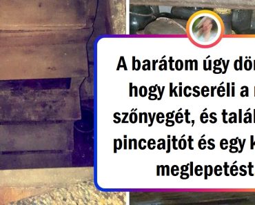 20 váratlan dolog a múltból, amit az emberek a felújítás során találtak az otthonukban