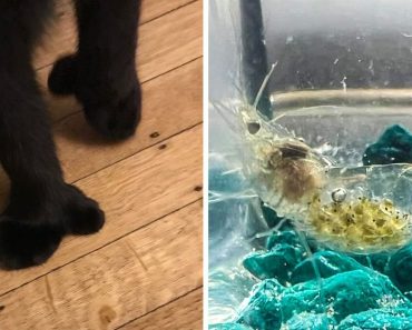 15 dolog, ami lenyűgöz majd a különlegességével