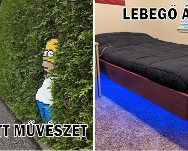 20+ alkalom, amikor az emberek felfedtek valamit, ami egy kicsit megrázta a világukat