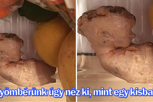 16 alkalom, amikor az emberek láttak valamit, ami becsapta a szemüket
