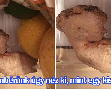 16 alkalom, amikor az emberek láttak valamit, ami becsapta a szemüket