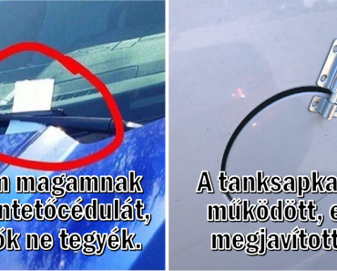 18 alkalom, amikor az emberek megmutatták, hogy az intelligenciájuk más szinten van