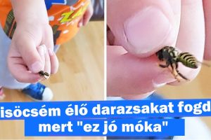 15 kép bizonyítja, hogy a szülői lét egy soha véget nem érő szórakozás