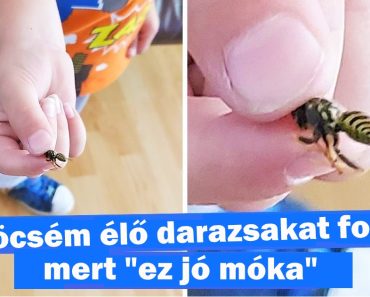 15 kép bizonyítja, hogy a szülői lét egy soha véget nem érő szórakozás