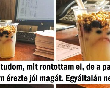 15 alkalom, amikor egy fotó szöge teljesen összezavart minket