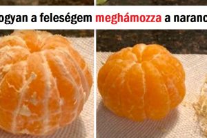 15+ alkalom, amikor az emberek olyat tettek, ami megérdemelt egy „Azta” díjat