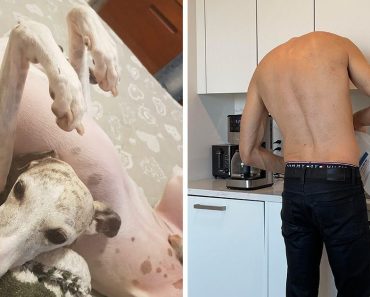 15+ fotó, ami jobban összezavart minket, mint valaha