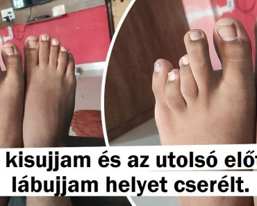 17 alkalom, amikor a természet kivett egy szabadnapot és a dolgok összekeveredtek