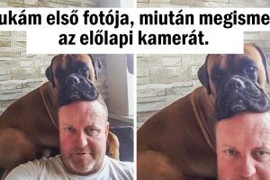 20+ kép, amelyek megnyerhetik a szívedet a kisugárzásukkal