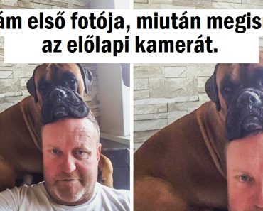 20+ kép, amelyek megnyerhetik a szívedet a kisugárzásukkal