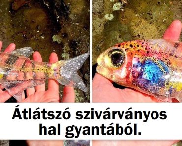 15 alkalom, amikor egy művész kreativitása túlmutatott a valóságon