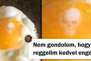 18 fotó, amely láttán csak azt kérdezzük: „Ez az, amire gondolok?”