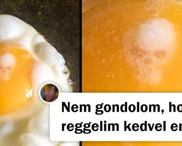 18 fotó, amely láttán csak azt kérdezzük: „Ez az, amire gondolok?”