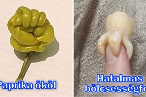 20 alkalom, amikor hétköznapi dolgok hirtelen úgy döntöttek, hogy szórakoztatnak minket