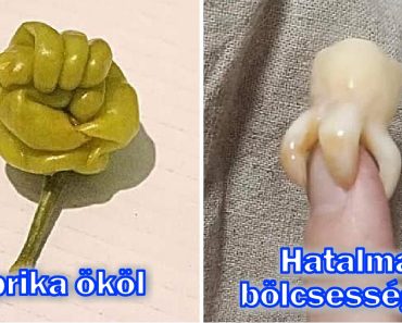 20 alkalom, amikor hétköznapi dolgok hirtelen úgy döntöttek, hogy szórakoztatnak minket
