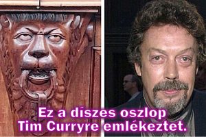 20 zavarba ejtő kép, aminek megértéséhez egy második pillantásra volt szükségünk