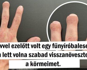 20 alkalom, amikor az életet olyan meglepetésekkel fűszerezték meg, amelyekre senki sem számított