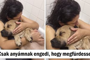 20 ember, aki elég szerencsés volt ahhoz, hogy lásson valamit, ami boldogabbá tette a napját