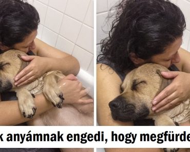 20 ember, aki elég szerencsés volt ahhoz, hogy lásson valamit, ami boldogabbá tette a napját