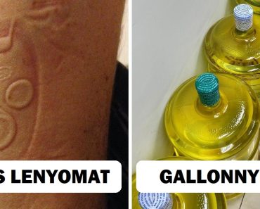 20+ kép, ami magával ragad és arra késztet, hogy többet tudj meg róla