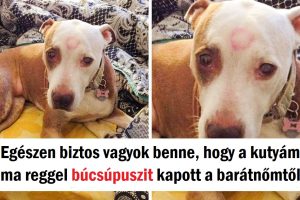 17 ember, akinek a napját apró dolgok tették jobbá