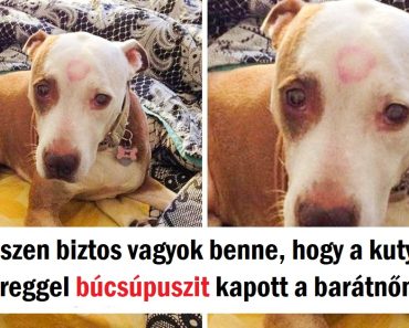 17 ember, akinek a napját apró dolgok tették jobbá
