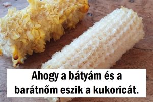 15+ fotó, ami bizonyítja, hogy 2 fajta ember van a világon