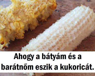 15+ fotó, ami bizonyítja, hogy 2 fajta ember van a világon