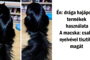 20 alkalom, amikor az Univerzum arra kért minket, hogy vegyünk ki egy nap szabadságot