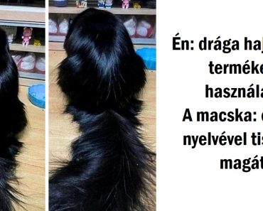 20 alkalom, amikor az Univerzum arra kért minket, hogy vegyünk ki egy nap szabadságot