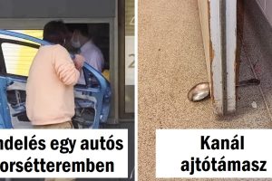 15+ kreatív elme, akik biztosan találnak megoldást bármilyen helyzetre