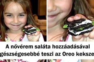 23 fotó, ami bizonyítja, hogy a gyerekek logikája egy másik bolygóról származik