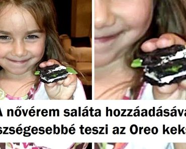 23 fotó, ami bizonyítja, hogy a gyerekek logikája egy másik bolygóról származik