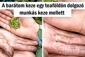 17 fotó, amely feltárja az idő valódi arcát