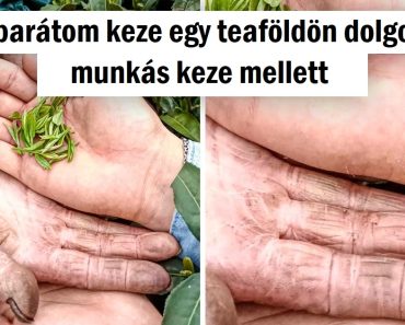 17 fotó, amely feltárja az idő valódi arcát