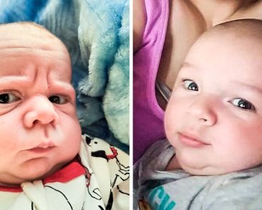 20 baba, akik még csak most érkeztek a világra, de máris úgy néznek ki, mint akik nyugdíjba akarnak menni