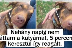 16 szívélyes fotó, ami emlékeztet minket arra, hogy a szerelem szinte minden sarkon ott van