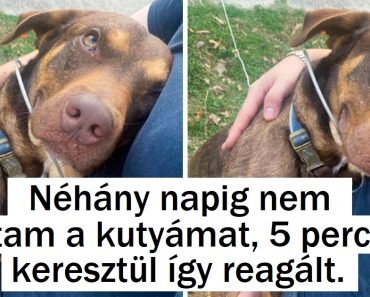 16 szívélyes fotó, ami emlékeztet minket arra, hogy a szerelem szinte minden sarkon ott van