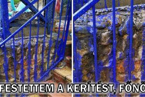 15 alkalom, amikor a lustaság nem a folyamat motorja volt, de megnevettetett minket