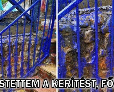 15 alkalom, amikor a lustaság nem a folyamat motorja volt, de megnevettetett minket