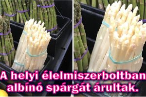 20+ ember, aki olyan dolgokat talált, amely úgy tűnik, hogy egy másik világból származik
