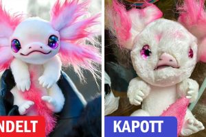 16 ember, akik nem azt kapták, amire számítottak