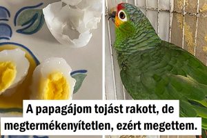 16 ember, akik elég szerencsések voltak ahhoz, hogy meglássák a dolgok rejtett oldalát.