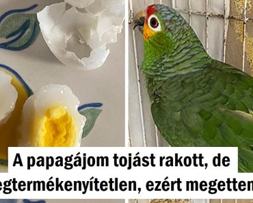 16 ember, akik elég szerencsések voltak ahhoz, hogy meglássák a dolgok rejtett oldalát.