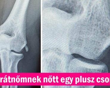 17 fotó, amitől kikerekedett a szemünk a hitetlenkedéstől