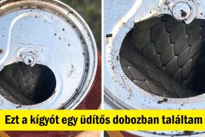 17 véletlenszerű felfedezés, ami miatt az emberek tágra nyitották a szemüket